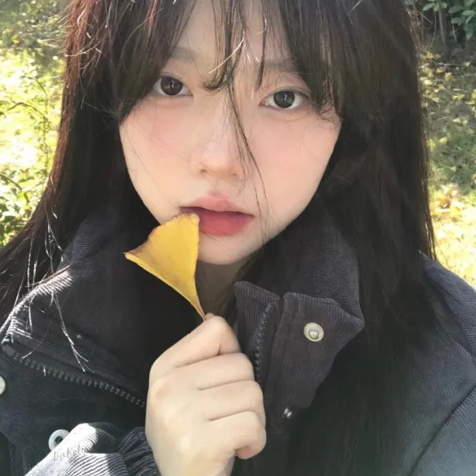 战地女护士 首页推荐封面