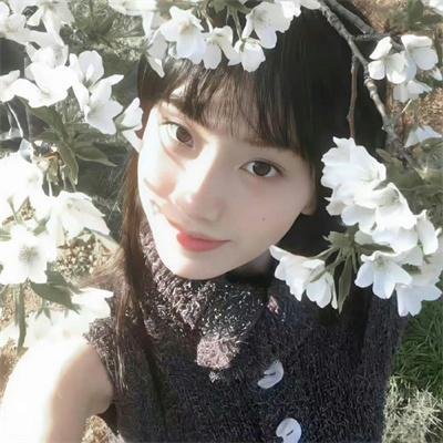 夜合花 在线观看